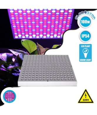 GloboStar® 85954 Grow Light Panel Full Spectrum LED Φωτιστικό Ανάπτυξης Φυτών Θερμοκηπίου SMD 2835 100W 160° AC230V IP54 Εσωτερικού Χώρου για Κάλυψη Επιφάνειας 1m x 1m Πλήρους Φάσματος Φωτισμού